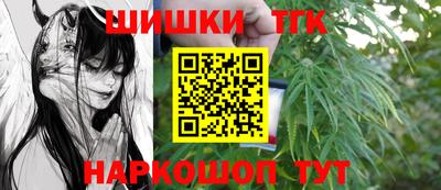 мдпв Обнинск