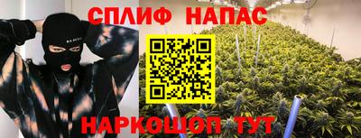 мдпв Обнинск